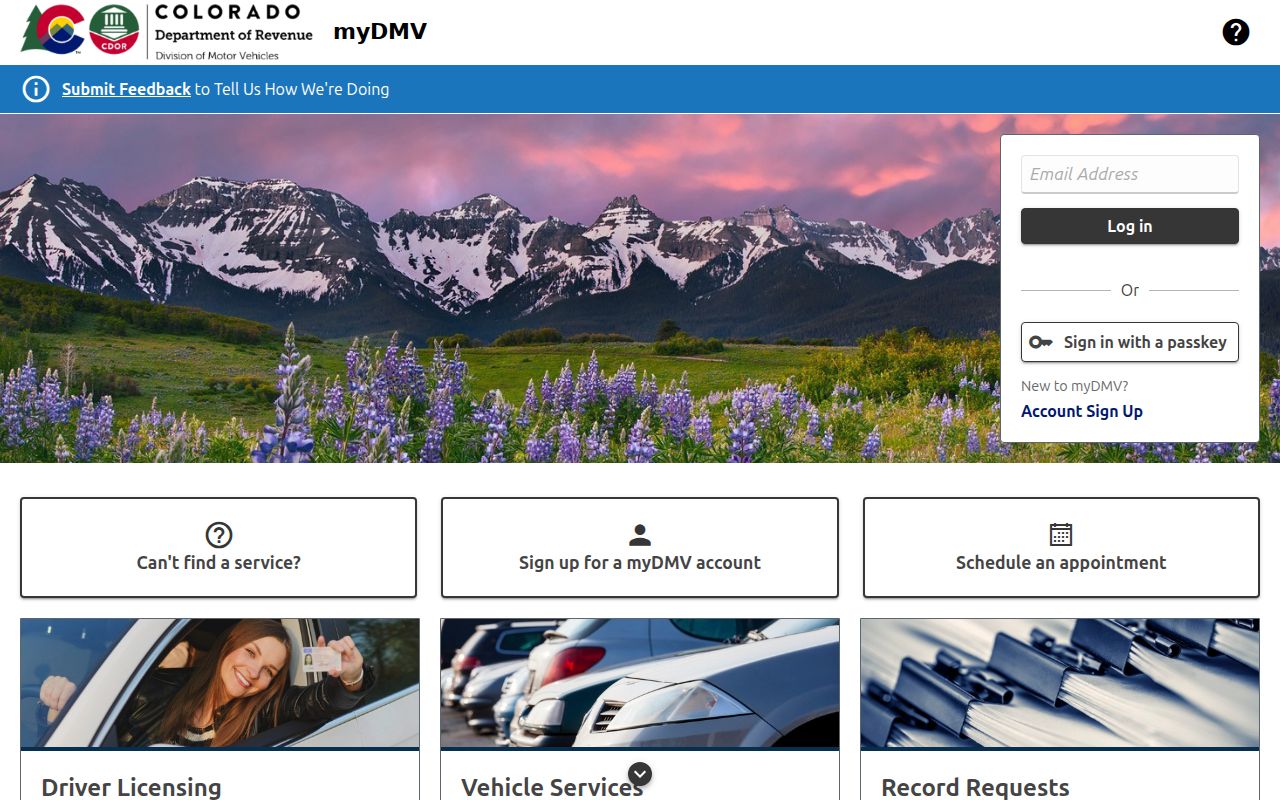 Montrose County traffic court records Colorado myDMV portal
